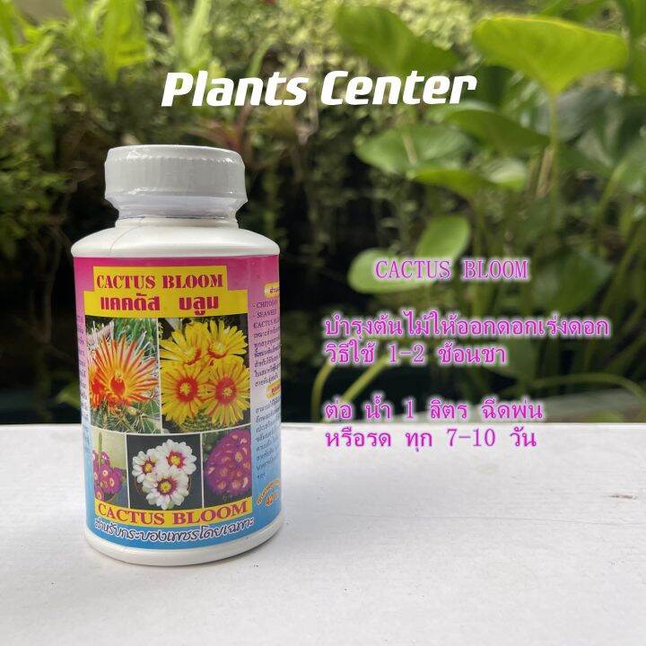 plants-center-พร้อมส่ง-ปุ๋ยแคคตัส-ปุ๋ยกระบองเพชร-ปุ๋ยน้ำ-4-สูตร-250cc-เนเจอร์-อัลฟ่า-บลูม-แคคตัสพลัส-สำหรับบำรุงต้น-เร่งดอก-หนาม-ทุกสายพันธุ์