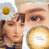 คอนแทคเลนส์ Daisy Brown (Neo Cosmo) รายเดือน เดซี่ สีน้ำตาล โตเล็กน้อย สวยธรรมชาติสไตล์ญี่ปุ่น รายเดือน