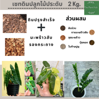 Ltiitle TREE Factory ดินสำหรับปลูก 2 kg. พร้อมมะพร้าวสับ สำหรับ ไม้ประดับ มอนสเตอร่า ไทรใบสัก เงินไหลมา ไม้ฟอกอากาศ Philodendron Billietiae ก้านส้ม