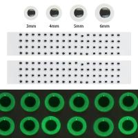 LBU2221ชิ้น/เซ็ตงานฝีมือจิ๊ก3Mm/4Mm/5Mm/6Mm การจำลอง3D โฮโลแกรมส่องสว่างเหยื่อตกปลาเหยื่อตกปลาตกปลาตา