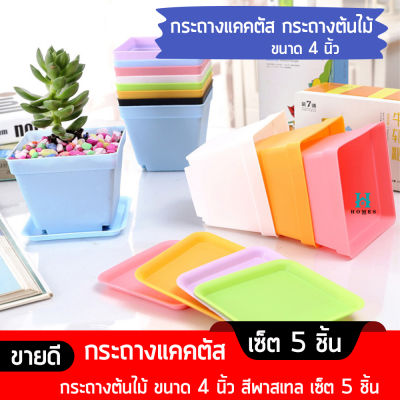 กระถางแคคตัส กระถางต้นไม้ ขนาด 4 นิ้ว สีพาสเทล เซ็ต 5 ชิ้น