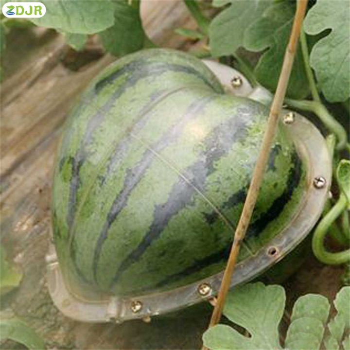zdjr-แม่พิมพ์-grow-ทรงแตงโมแม่พิมพ์ทรงผักผลไม้สำหรับการสร้างแตงโมฟักทอง