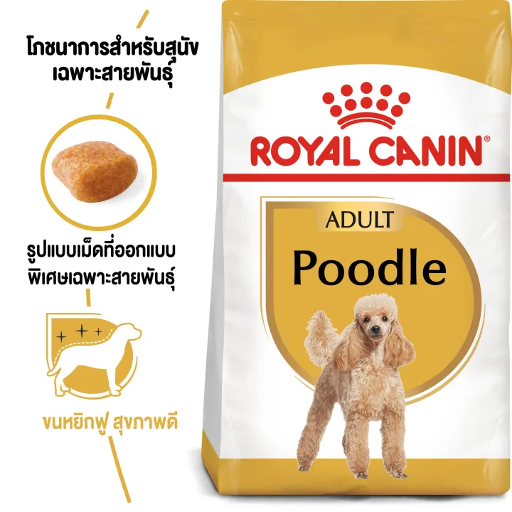 royal-canin-poodle-adult-500g-สำหรับสุนัขโตพันธุ์พุดเดิ้ล-อายุ-10-เดือนขึ้นไป