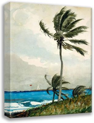 โฮเมอร์ Winslow X Gallery Wrapped Canvas Museum Art Titled: Palm Tree Nassau II