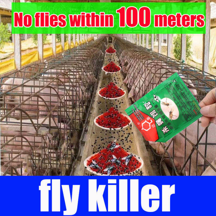 500 flies killed in 1 minute fly killer trap flies repellent Fly