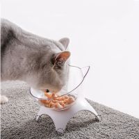 15 Degree Tilted Design Adjustable Cat Elevated Bowl with Raised Stand 15 Degree Tilted Pet Cat Bowl