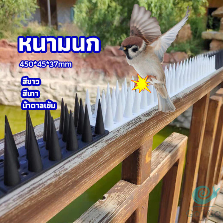 gotgo-หนามนก-อุปกรณ์ไล่นก-น้ำยาไล่นก-หนามที่กั้นไม่ให้แมวเข้ามา-bird-thorn