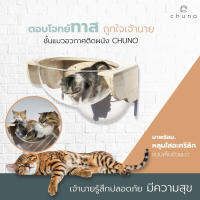 ชั้นแมวอวกาศติดผนัง CHUNO พร้อมหลุมใสอะคริลิคแบบเห็นตัวแมว