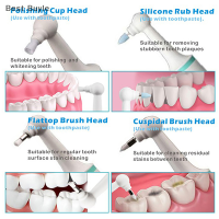 ?Best Buyle เครื่องขัดฟัน5ชิ้น กล่องเครื่องฟอกฟันขาวแบบไฟฟ้าสำหรับเปลี่ยนคราบจุลินทรีย์