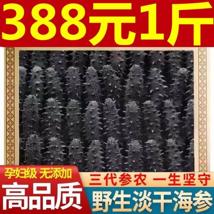 Dalian Light Dried Wild Sea Cucumber Pure Dry Sea Cucumber Liao