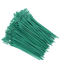 30/50/100Pcs Reusable Garden Cable Ties Plant Support Shrubs Fastener Tree Locking Nylon Adjustable Plastic Cable Ties Tools