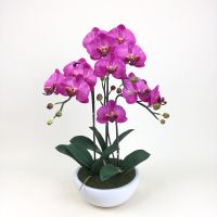 กระถางกล้วยไม้ประดิษฐ์ ดอกไม้ปลอมพร้อมกระถาง Artificial orchid arrangement with pot