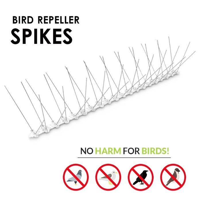 50cm 60 Stainless Steel Spikes Bird And Pigeon Spikes Anti Bird Spikes ...