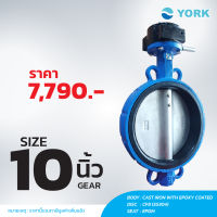 วาล์วปีกผีเสื้อ   BUTTERFLY VALVE  10”  YORK HD (GEAR)