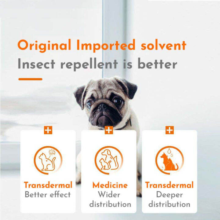 Bayer Drontal Plus dogs insect repellent tablets per tablet Lazada PH
