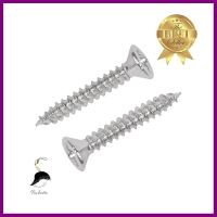 สกรูเกลียวปล่อย TF DEXZON 4X3/4 นิ้ว 25 ตัวSELF-TAPPING SCREW TF DEXZON 4X3/4IN 25PCS **คุณภาพดี**