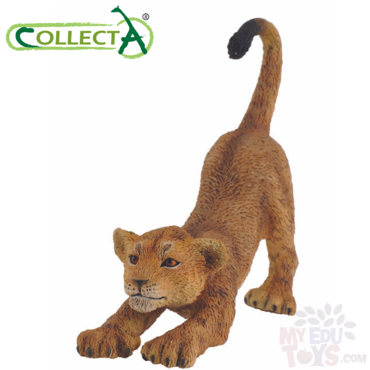 CollectA Lion Cub (Stretching) 88416 Wild Life toy animal figurine ...