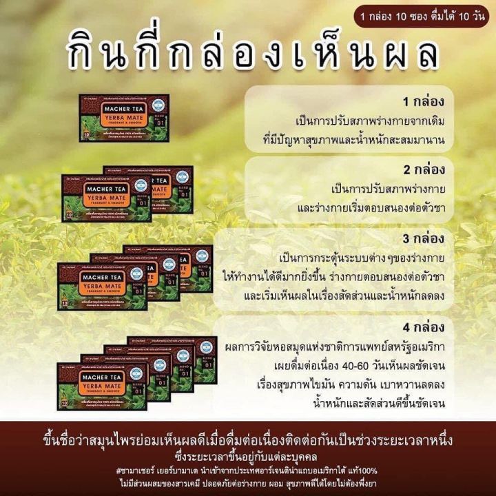 กลับมาอีกครั้ง1กล่องชามาเชอร์-ผลิตภัณฑเครื่องดื่มชาเยอร์บามาเต้100