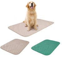 【CC】 Dog Diaper Reusable Training Pee Bottom Eco-Friendly Washable