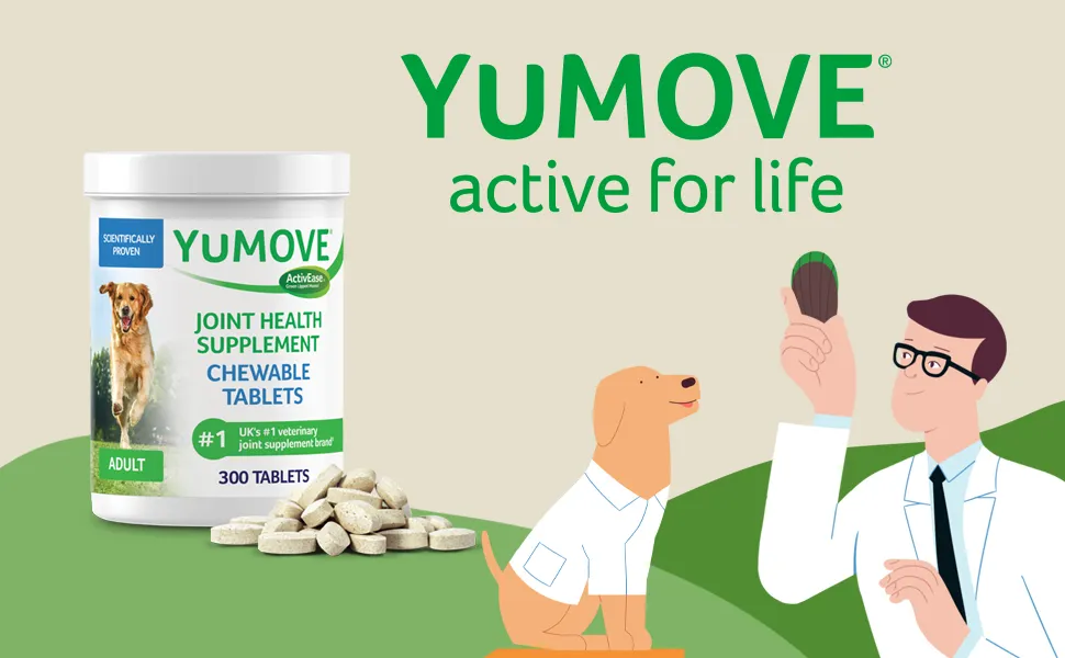 YuMOVE Joint Supplement for Dogs with Lips and Omega 120 Chewable Tablets  PACKAGING MAY VARY | Lazada PH