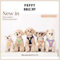 DOG สายรัดอกสุนัข Puppy Gallery - Plus Alpha soft harness ฮาเนส เสื้อรัดอกสุนัข สไตล์เกาหลี สายรัดอกสุนัขสีทูโทน น่ารัก step in harness