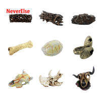 Aquarium ตกแต่ง Creative ประดิษฐ์กระดูก Shell Cattle Head Trunk ซ่อนถ้ำสำหรับถังปลา Home เครื่องประดับ Accessories