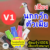 เสียงนกกวักตัวเมีย V.1 ต่อเข้าเร็ว เมม/แฟลชไดร์ฟเสียงนกกวักตัวเมีย V.1 มีเก็บเงินปลายทาง ชัด100% ไม่มีโฆษณาแทรก (MP3 เสียงต่อสัตว์)