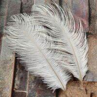 10pcs white ostrich feathers 6-8 inches/15-20 cm Birthday Wedding Decorations Plumage