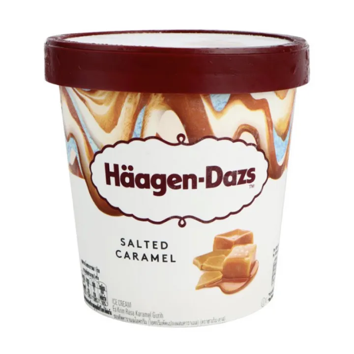 Häagen-Dazs Ice Cream Salted Caramel Pint Haagen Dazs | Lazada PH