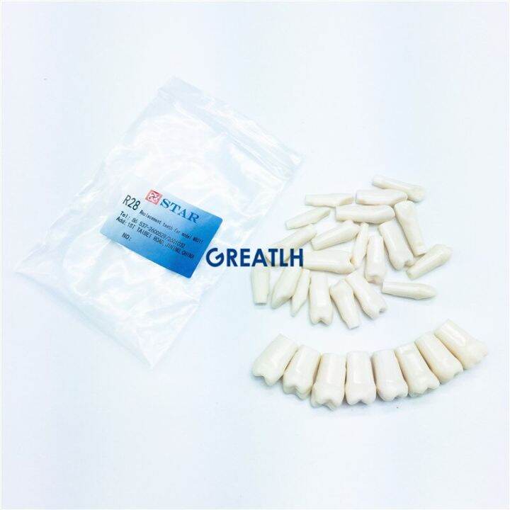 28pcs-32pcs-removable-teeth-model-with-screw-in-dental-standard-teeth-model-for-dental-practice