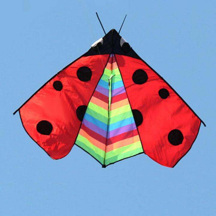 cw-colorful-delta-kite-fly-kite-flying-toys-single-line-easy-to-fly-huge-wingspan-triangle-ladybug-kite-for-garden-family-trips