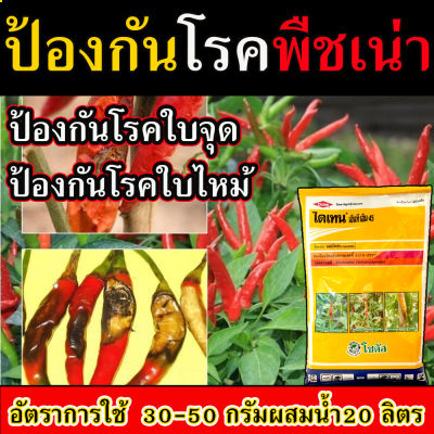 สารกำจัดโรคพืช สารป้องกันรา ขนาด 100กรัม โรคใบจุด ใบสนิม ราสนิม ใบเน่าฯ  By JenSeed