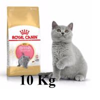 Royal Canin Kitten British Shorthair [10kg] อาหารลูกแมว สำหรับลูกแมวพันธุ์บริติช อายุน้อยกว่า 12 เดือน ขนาด 10 กิโลกรัม