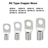 1Pcs SC95/120/150/185 Copper Nose Cable Lug Bolt Hole ID 8/10/12/14/16mmTinned Battery Terminals Wire Connector