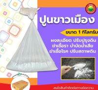 ปูนขาว ขนาด 1 กิโลกรัม สีขาว WHITE CALCIUM ผงละเอียด ปรับปรุงดิน ฆ่าเชื้อรา บำบัดน้ำเสีย ฆ่าเชื้อโรค ปรับสถาพดิน งานสวน เกษตร มิตสห Mitsaha