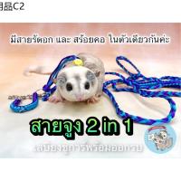 ❅V ( 2in1 สร้อยจูง) สายจูง ทูอินวัน สายรัดอก ที่จูง เชือกจูง สร้อยคอกระรอก โซ่กระรอก สัตว์เล็ก กระรอก ชูการ์ แฮมสเตอร์❖