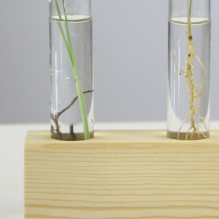 cw-glass-hyacinth-vase-transparent-bottle-pot-hydroponic-tube-test-vases-for