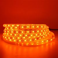 LED Strip Light 600nm True Orange SMD 5050 3528 Strip Ribbon Diode Tape rope lights 12V 1m 2m 5m Flexible Strip string lamp LED Strip Lighting