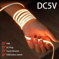 DC 5V LED COB Strip Light USB High Density Linear Lighting 320LED Flexible Tape Lights Warm Natural White Red Blue Green Decor