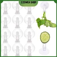 ZZEWEA SHOP 10ชิ้นพืชน้ำภูมิทัศน์ตู้ปลากระถางแก้ว Hydroponic กระเป๋าใส่กล่องอาหารปลาถ้วยดูดปลูกถังตกแต่งคุณลักษณะน้ำที่ตั้งต้นไม้