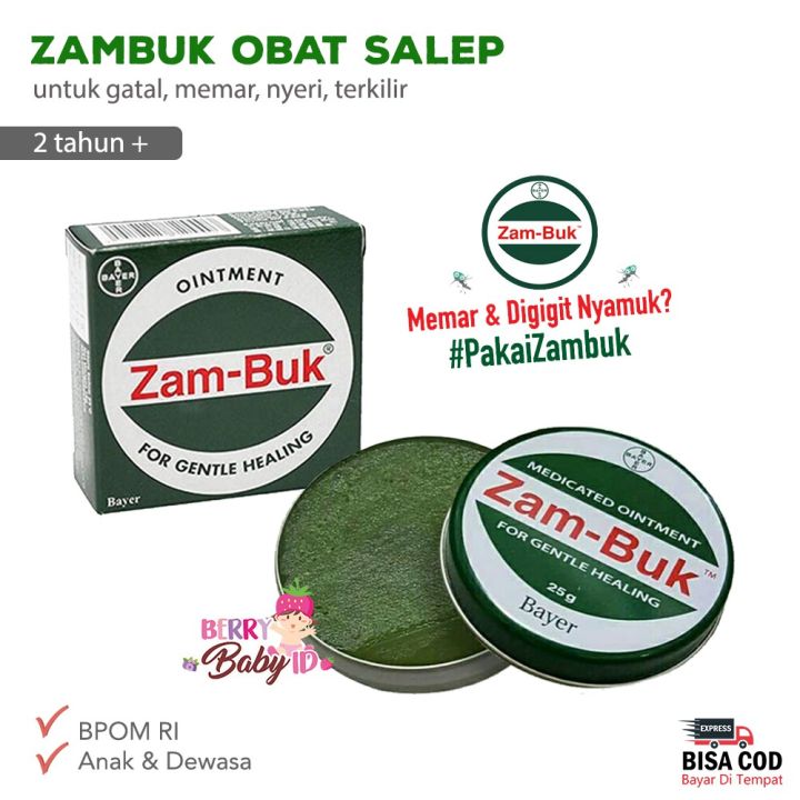 Berkhasiat Ampuh Zambuk Buyer 25 Gr Zam Buk Obat Memar Obat Gatal Kulit