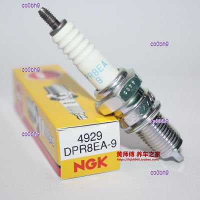 co0bh9 2023 High Quality 1pcs NGK Spark Plug DPR8EA-9 D8TC DR8EA D8EA A8YC 2179 D8RTC Tibetan Mastiff Horizon