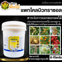 ? พรีดิคท์ (แพกโคลบิวทราซอล) 10กิโลกรัม เร่งการออกดอก