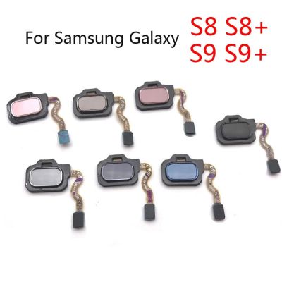 【❖New Hot❖】 anlei3 สำหรับ Samsung Galaxy S8 Plus G955 G955f S8 G950 G950f S9 S9รวมถึง Touch Id Home Button เซ็นเซอร์ตรวจสอบลายนิ้วมือสายยืดหยุ่น