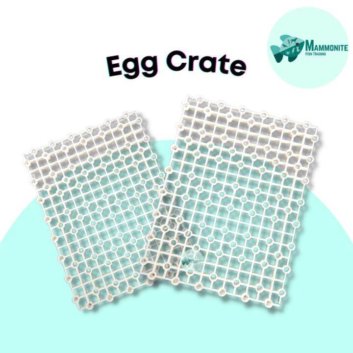 Aquarium Tank Egg Divider Crate Plastic with Stand Coral Rack Separator