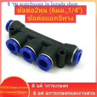 ข้อต่อหัวพ่นหมอก ข้อต่อลม ข้อต่อท่อลม ข้อต่อสายกรองน้ำ ข้อต่อ2หุน ,(6มม.,1/4") ข้อต่อแยก5ทาง