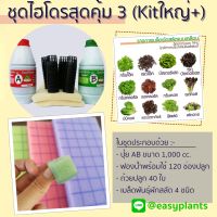 ชุดปลูกผัก สลัด ไฮโดรโปนิกส์ DIY  สุดคุ้ม (Kit ใหญ่ Plus)