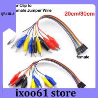 ixoo61 store Double Head Eclectic Wire Jumper Male Female Alligator Clip to 10pin Crocodile Pince Test Lead Line Connection for DIY