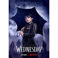 แผ่น DVD หนังใหม่ Wednesday (2022) เว้นส์เดย์ (8 ตอนจบ) (เสียง ไทย /อังกฤษ | ซับ ไทย/อังกฤษ) หนัง ดีวีดี