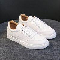 Canvas Women Shoes